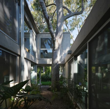 Eucalyptus House